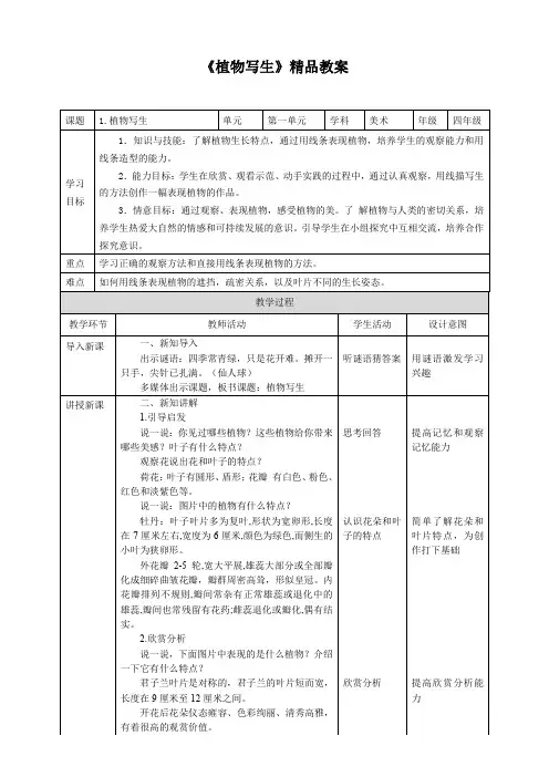 《植物写生》精品教案