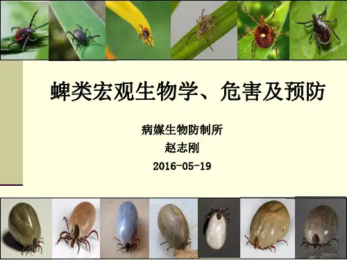 蜱类宏观生物学、危害及预防