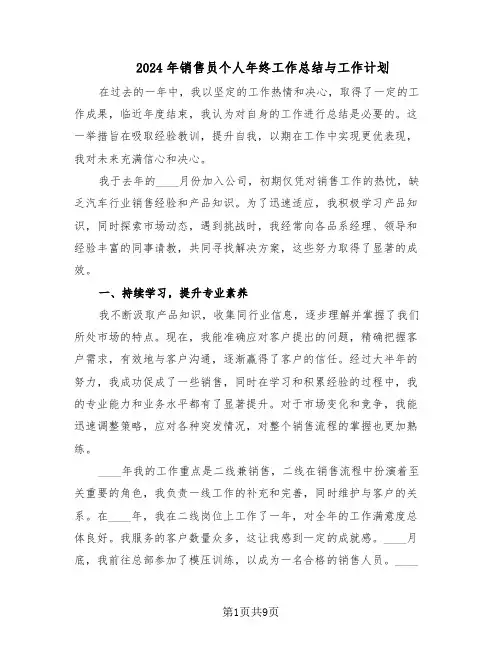 2024年销售员个人年终工作总结与工作计划（5篇）