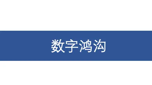 数字鸿沟ppt全