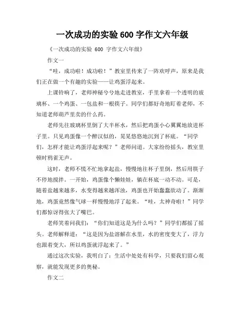 一次成功的实验600字作文六年级