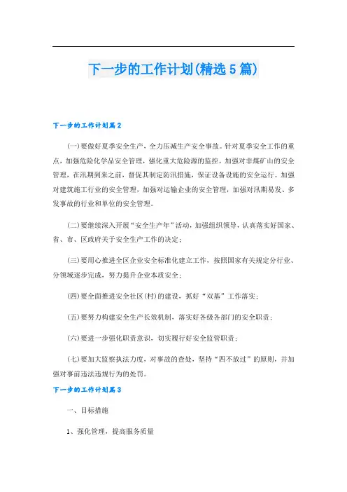下一步的工作计划(精选5篇)