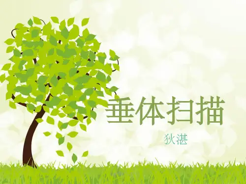 磁共振垂体扫描ppt课件