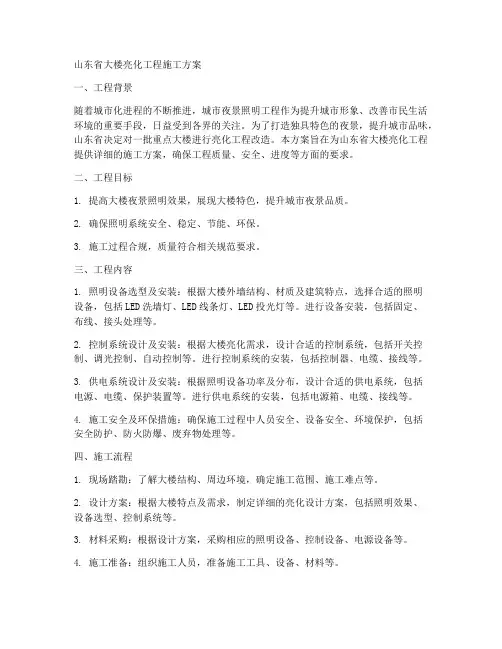 山东大楼亮化工程施工方案