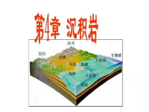 第4章沉积岩