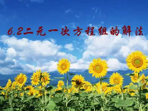 6.2二元一次方程组的解法(加减法)