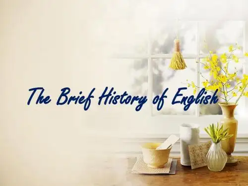 the brief history of English