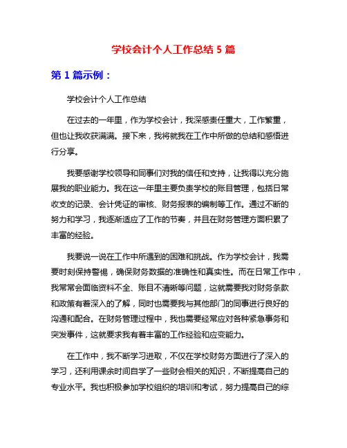 学校会计个人工作总结5篇