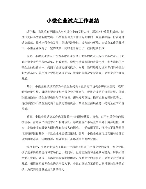 小微企业试点工作总结