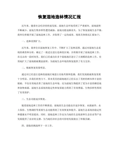恢复湿地造林情况汇报