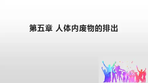 初中生物人教版七年级下册 第五章 人体内废物的排出(课件)