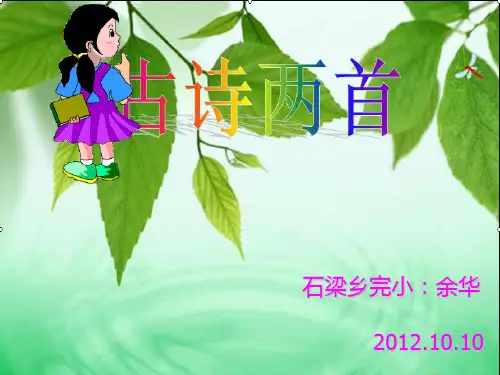 9小学三年级上册诗两首《夜书所见》和《九月九日忆山东兄弟》教学PPT课件