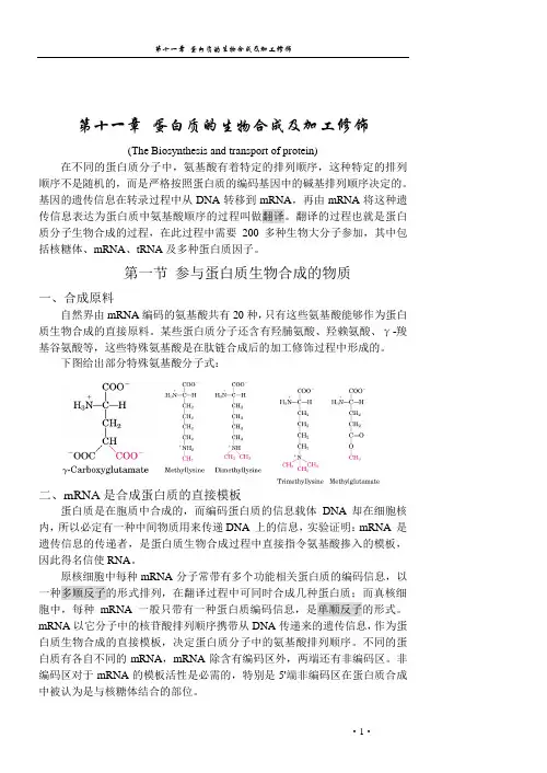 第十一章 蛋白质的生物合成及加工修饰