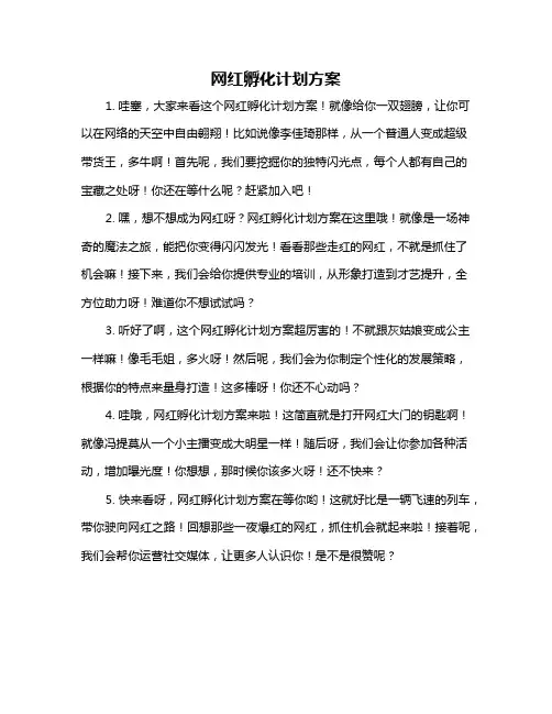 网红孵化计划方案