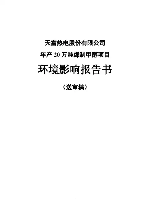 年产20万吨煤制甲醇项目环境影响报告书