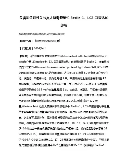艾灸对佐剂性关节炎大鼠滑膜组织Beclin-1、LC3-Ⅱ表达的影响