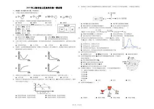 2019年上海市宝山区高考生物一模试卷(解析版)