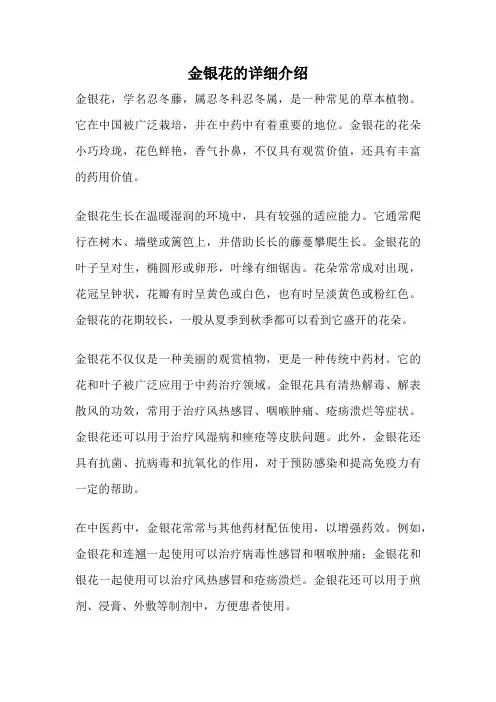 金银花的详细介绍