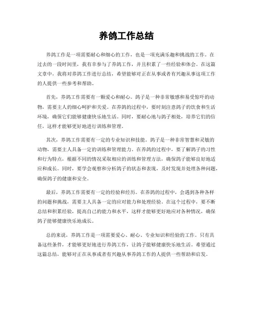 养鸽工作总结