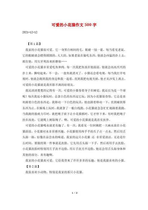 可爱的小花猫作文500字