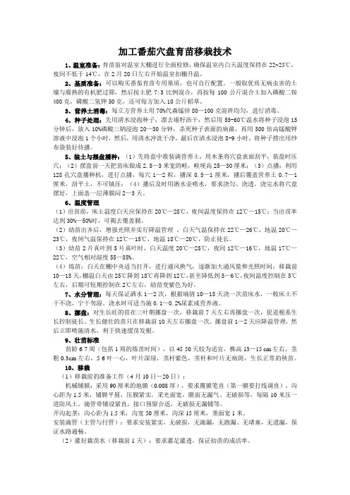 加工番茄穴盘育苗移栽技术