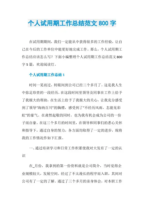 个人试用期工作总结范文800字