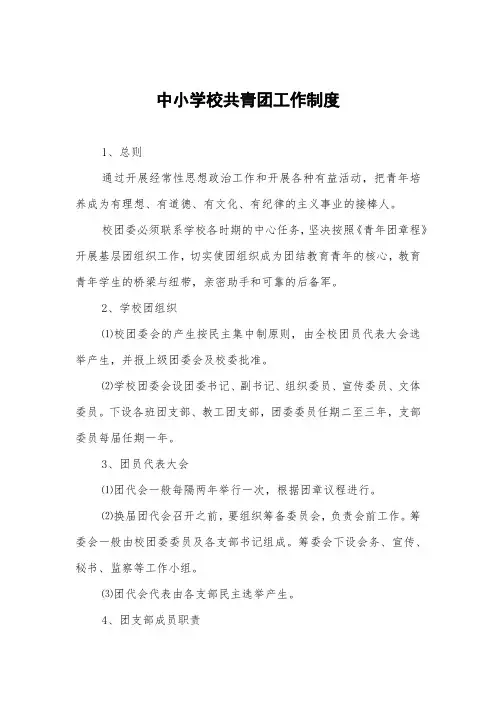 中小学校共青团工作制度