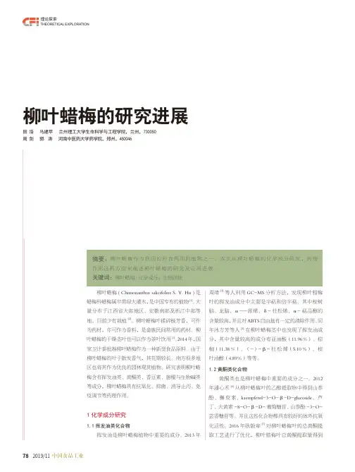 柳叶蜡梅的研究进展
