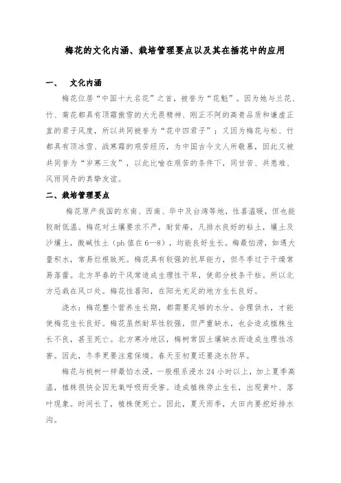 梅花的文化内涵、栽培管理要点以及其在插花中的应用