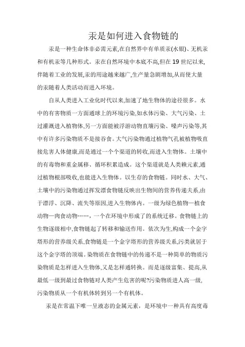 汞是如何进入食物链的