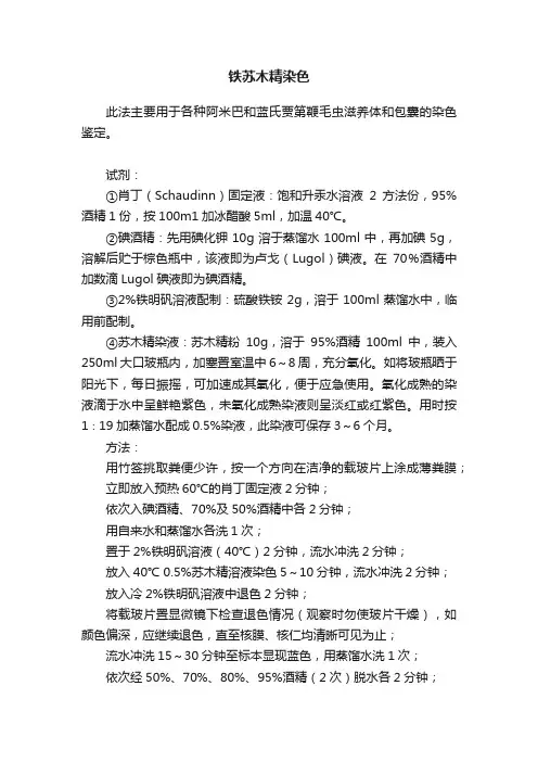 铁苏木精染色