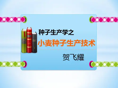 种子生产学小麦种子生产技术