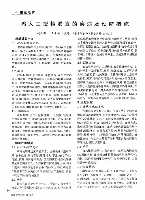鸡人工授精易发的疾病及预防措施