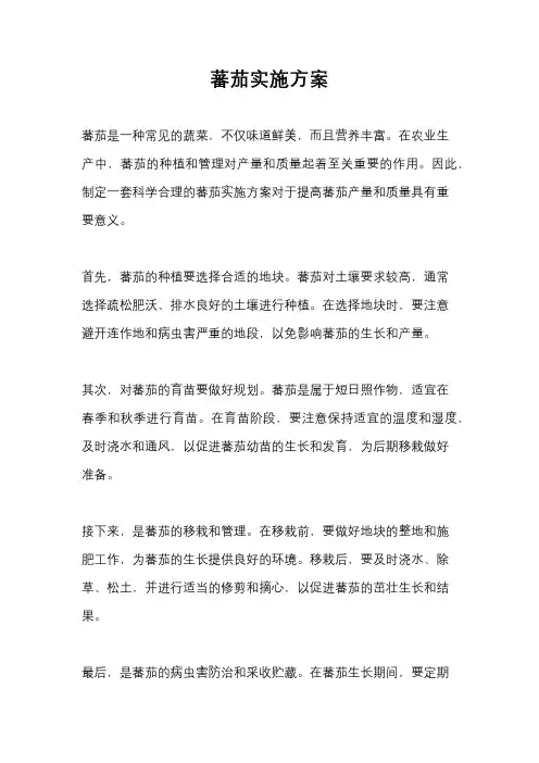 蕃茄实施方案