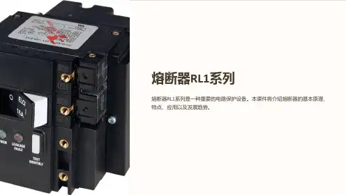 《熔断器RL1系列》课件