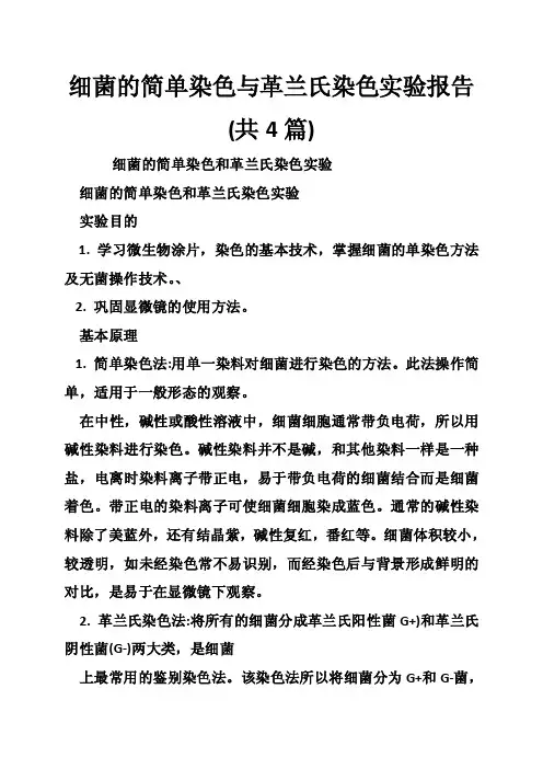 细菌的简单染色与革兰氏染色实验报告（共4篇）