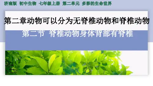 2.2.2 脊椎动物身体背部有脊柱-七年级上册生物课件(济南版2024)