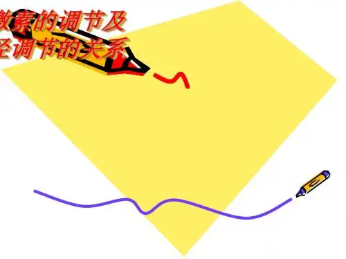 通过激素的调节及与神经调节的关系