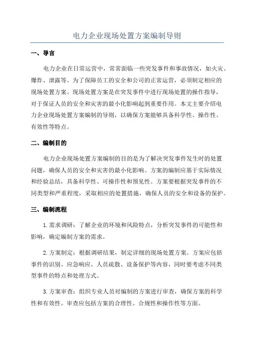 电力企业现场处置方案编制导则