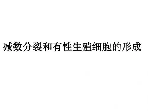 高中生物减数分裂和有性生殖细胞的形成-104页精选文档