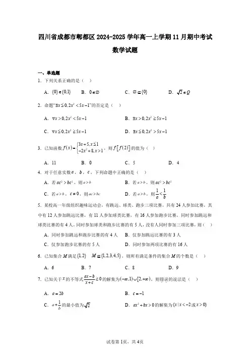 四川省成都市郫都区2024-2025学年高一上学期11月期中考试数学试题