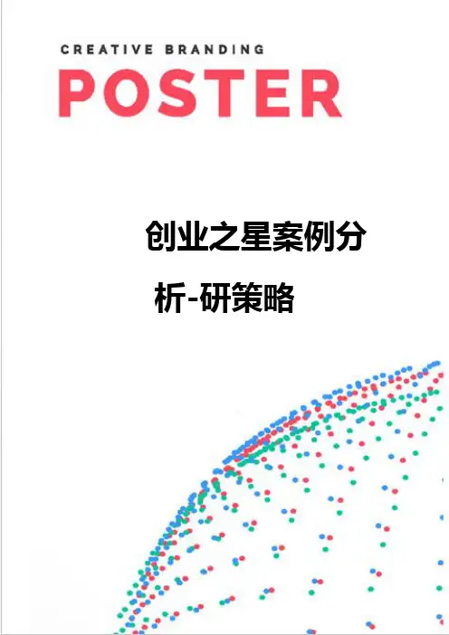 【精编】创业之星案例分析-研策略