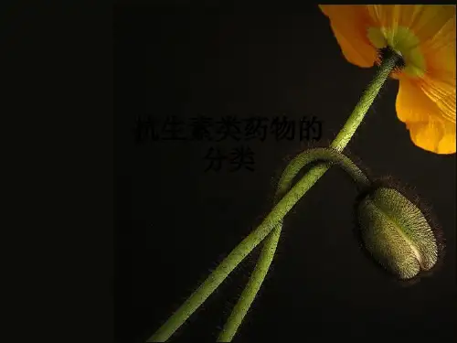抗生素类药物的分类ppt课件