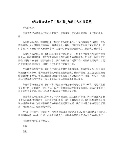 经济普查试点的工作汇报_市场工作汇报总结