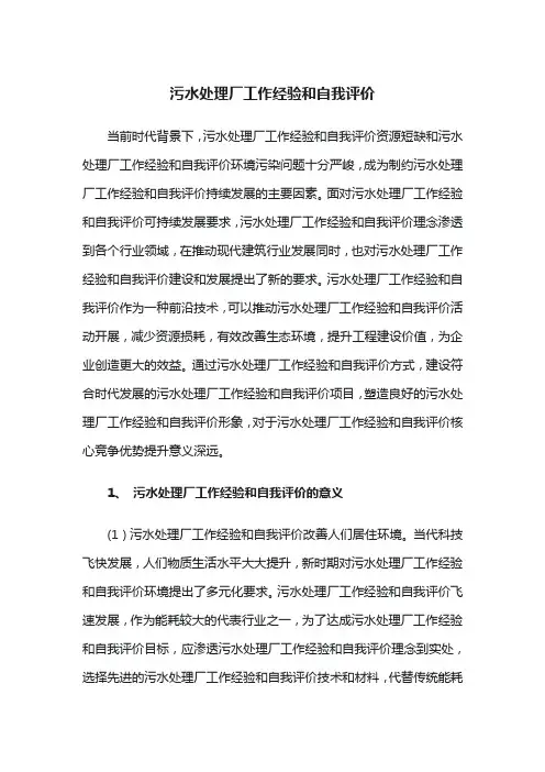 污水处理厂工作经验和自我评价