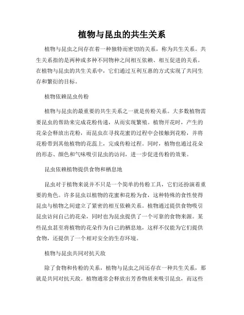 植物与昆虫的共生关系