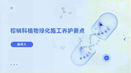棕榈科植物绿化施工养护要点