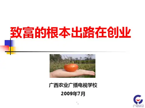 致富之路在于创业ppt课件