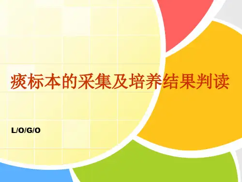 痰标本采集ppt