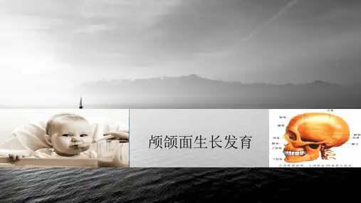 颅颌面生长发育ppt课件